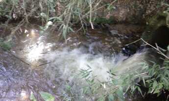 Imagem 5: SITIO RURAL em São Miguel Arcanjo - SP, Centro