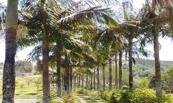 Imagem 5: Imobiliária rural SP, Fazenda a venda Terras em Itapetininga SP e região, interior de São