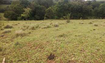 Imagem 5: SITIO RURAL em Angatuba - SP, Centro