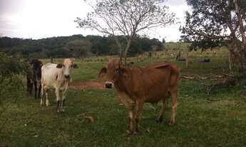 Imagem 7: SITIO RURAL em Angatuba - SP, Centro