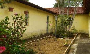 Imagem 3: SITIO RURAL em Amparo - SP, Castelo