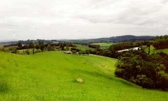 Imagem: SITIO RURAL em Sarapuí - SP, Congonhas