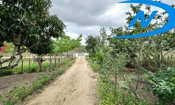 Imagem 3: SITIO RURAL em JEQUIÉ - BA, BR330