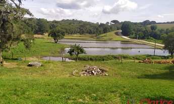 Imagem: Área rural em São José dos Pinhais, Agro-indústria