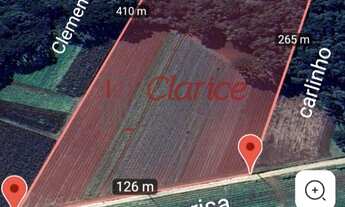 Imagem: Área rural em São José dos Pinhais, área