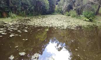 Imagem 5: Chacara para cavalos, chacara para eventos, chacara com água