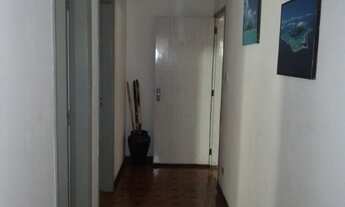 Imagem 4: CASA COMERCIAL em SÃO PAULO - SP, VILA PEREIRA BARRETO