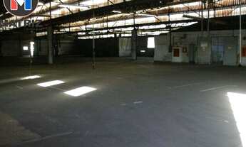 Imagem 4: GALPAO COMERCIAL em SÃO PAULO - SP, Pirituba