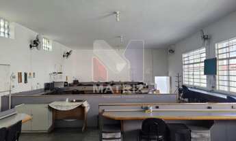 Imagem: Ponto Comercial COMERCIAL em SÃO PAULO