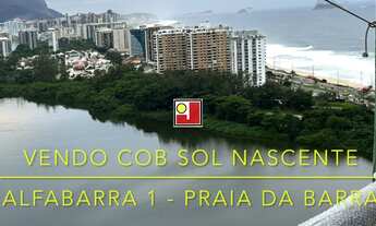 Imagem: Vendo Cob Alfa 1, na Praia da Barra, nascente