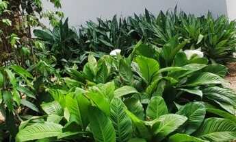 Imagem 7: CASA RESIDENCIAL em MATA DE SÃO JOÃO - BA, Praia do Forte