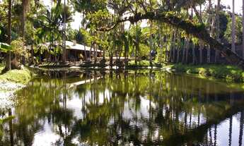 Imagem: CHACARA RESIDENCIAL em São Francisco do
