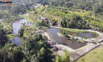 Imagem 3: CHACARA COMERCIAL em Itapoá - SC, 1º de Julho