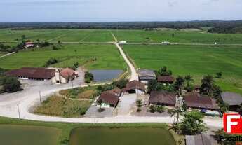 Imagem 4: CHACARA RURAL em GARUVA - SC, bom futuro