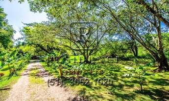 Imagem 2: Sítio Espetacular na Ilha das Flores, Porto Alegre-RS: 28.300m² de Pura Natureza Aguardam