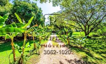 Imagem 3: Sítio Espetacular na Ilha das Flores, Porto Alegre-RS: 28.300m² de Pura Natureza Aguardam