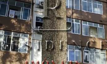 Imagem 2: Apartamento à venda em Porto Alegre-RS, Humaitá: 1 quarto, 1 sala, 1 banheiro, 44 m² de ár