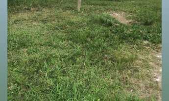 Imagem: 300M² de Área Total