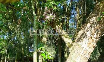 Imagem 6: Vendo ou troco por chácara maior, possui uma casa com 1 Dormitórios, propriedade com escr