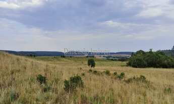 Imagem 3: Fazenda a Venda na Região de Tapes com 102 hectares formada por coxilhas e partes planas t