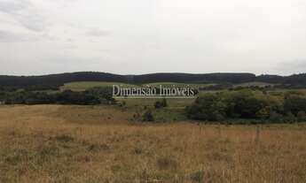 Imagem 5: Fazenda a Venda na Região de Tapes com 102 hectares formada por coxilhas e partes planas t