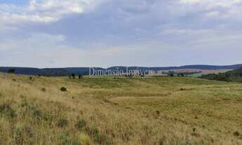 Imagem 7: Fazenda a Venda na Região de Tapes com 102 hectares formada por coxilhas e partes planas t