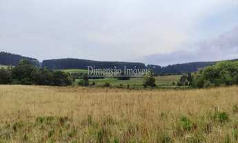 Imagem 2: Fazenda a Venda na Região de Tapes com 102 hectares formada por coxilhas e partes planas t