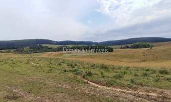 Imagem 6: Fazenda a Venda na Região de Tapes com 102 hectares formada por coxilhas e partes planas t