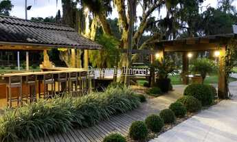 Imagem: ÓTIMA FAZENDA 70 HECTARES para clientes