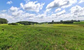 Imagem 5: Dimensão Imóveis Vende Ótima propriedade com 85 hectares, situado a 2km da BR 116 próximo