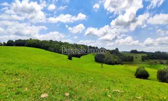 Imagem 4: Dimensão Imóveis Vende Ótima propriedade com 85 hectares, situado a 2km da BR 116 próximo