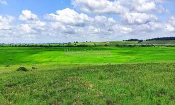 Imagem 7: Dimensão Imóveis Vende Ótima propriedade com 85 hectares, situado a 2km da BR 116 próximo