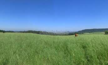 Imagem 5: ÓTIMA FAZENDA A VENDA COM 855 HA, ÀPENAS 50KM DE PORTO ALEGRE DUPLA APTIDÃO PECUARIA E LAV
