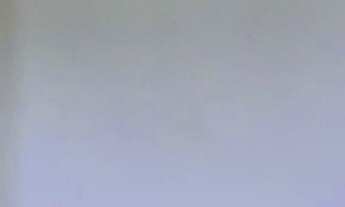 Imagem 2: Apartamento Residencial à venda, Vila Constança, São Paulo - AP0366