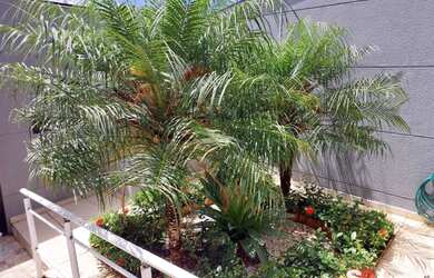 Imagem 5: Casa Residencial à venda, Vila Nova Mazzei, São Paulo - CA0092