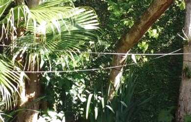 Imagem 15: Casa Residencial à venda, Jardim Ibiratiba, São Paulo - CA0305