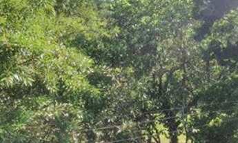 Imagem 3: Casa Residencial à venda, Lauzane Paulista, São Paulo - CA0139