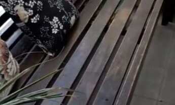 Imagem 6: Apartamento com excelente localização, vários comércios e transporte público na porta