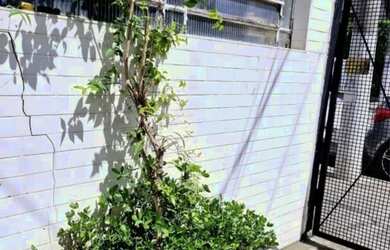 Imagem 5: Excelente Galpão de 300m2 a 3 quadras da Marginal Tietê