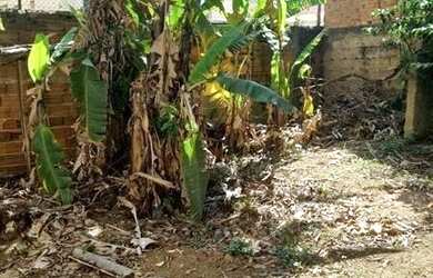 Imagem 3: Terreno próximo ao metrô Tucuruvi, cinstrução de apartamentos