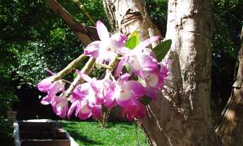 Imagem 3: Casa Residencial à venda, Horto Florestal, São Paulo - CA0193
