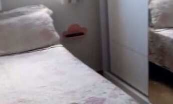 Imagem 2: Apartamento com excelente localização, vários comércios e transporte público na porta