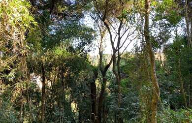 Imagem 4: Terreno Residencial à venda, Campos de Mairiporã, Mairiporã - TE0010