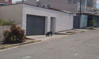 Imagem 5: Casa Residencial à venda, Jardim Paraíso, São Paulo - CA0194