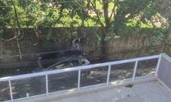 Imagem 2: Casa Residencial à venda, Lauzane Paulista, São Paulo - CA0139