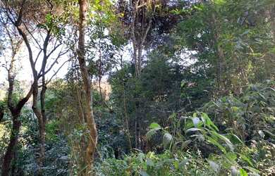 Imagem 7: Terreno Residencial à venda, Campos de Mairiporã, Mairiporã - TE0010