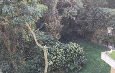 Imagem 7: Linda casa em ótimo cond. na Serra da Cantareira!