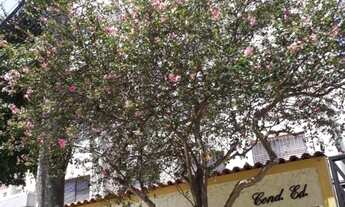 Imagem 3: Apartamento com 1 dormitório à venda, 54 m² por R$ 350.000,00 - Tucuruvi - São Paulo/SP