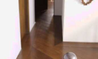 Imagem 2: Casa Residencial à venda, Jardim do Colégio (Zona Norte), São Paulo - CA0232