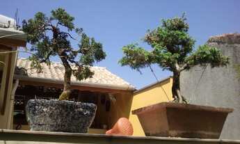 Imagem 4: Casa Residencial à venda, Horto Florestal, São Paulo - CA0193